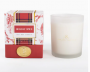 HOLIDAY SPICE SOY CANDLE
