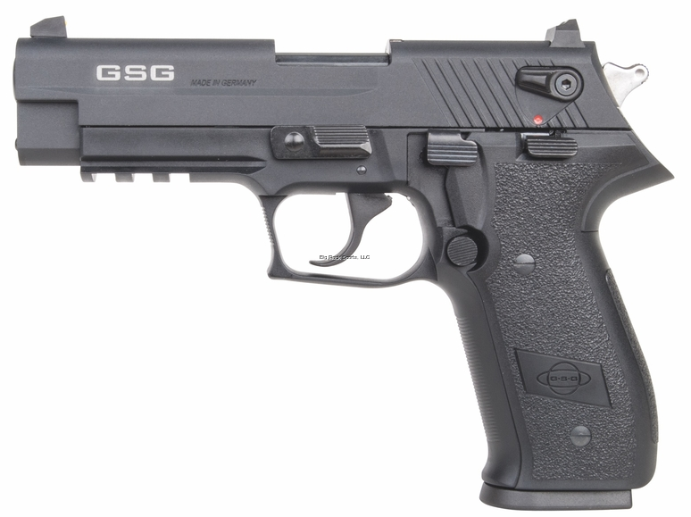 FIREFLY 22LR BLACK 10+1 ROUND