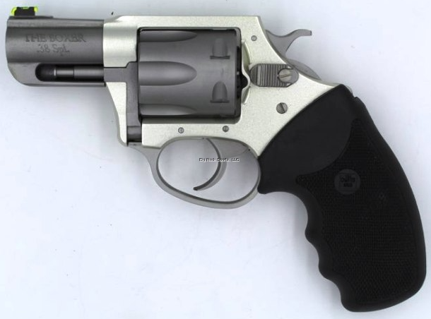 CHARTER ARMS BOXER .38SPL 2"