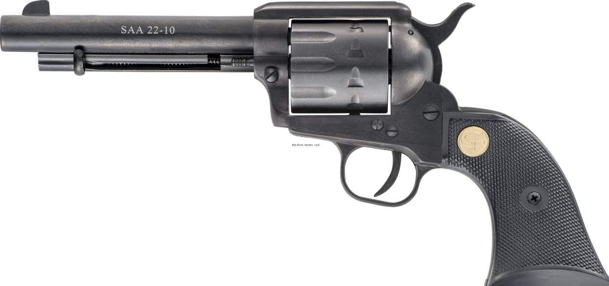 CHIAPPA 22LR SAA 10 ROUND