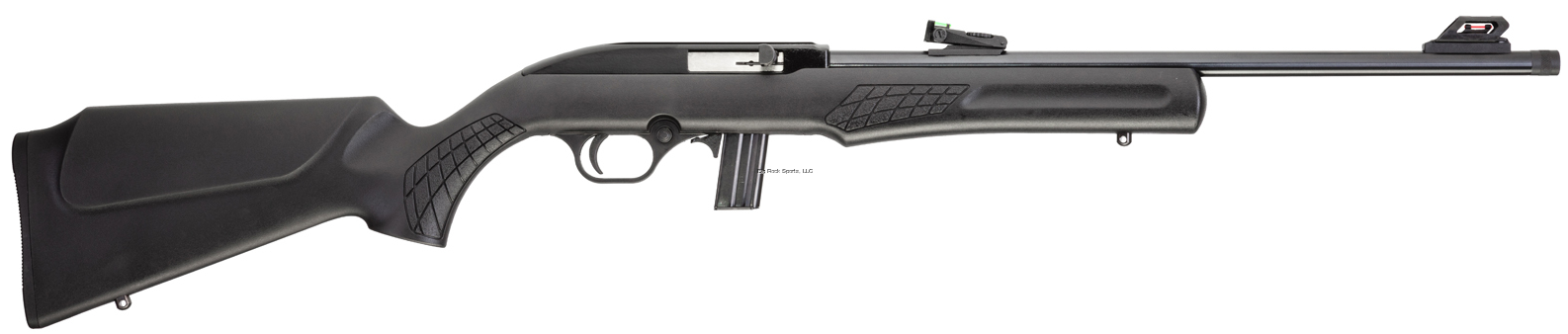 ROSSI RS22 22LR 18" 10+1 RNDS