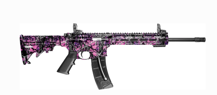 S&W M&P15 SPORT 22LR 25RDS