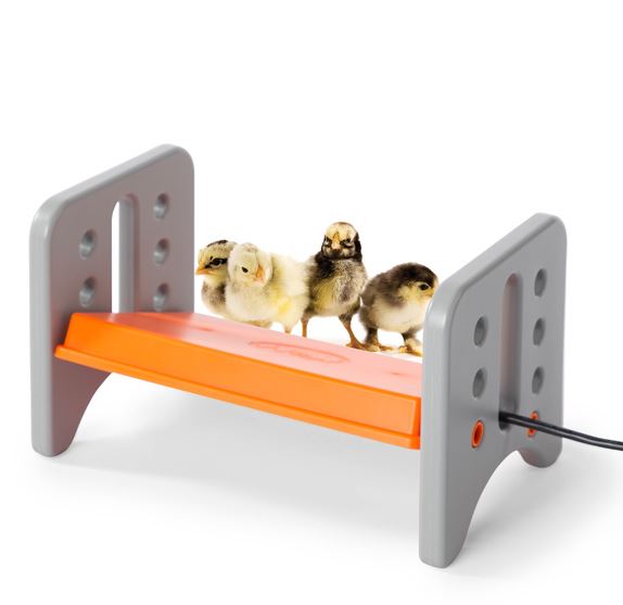 SMALL THERMO-POULTRY BROODER