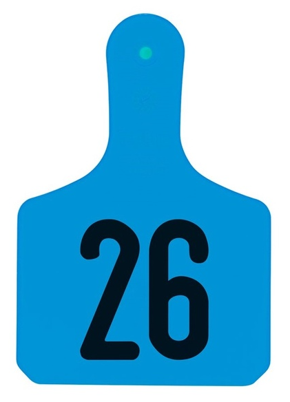 NUMBERED BLUE CALF TAGS 26-50