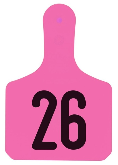 NUMBERED PINK CALF TAGS 26-50