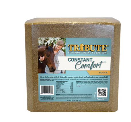 TRIBUTE CONSTANT COMFORT BLOCK