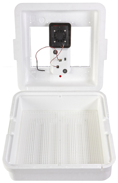 STILL AIR INCUBATOR 110V