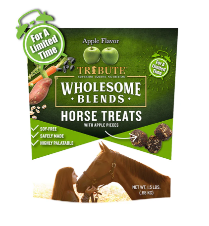 WB APPLE HORSE TREATS