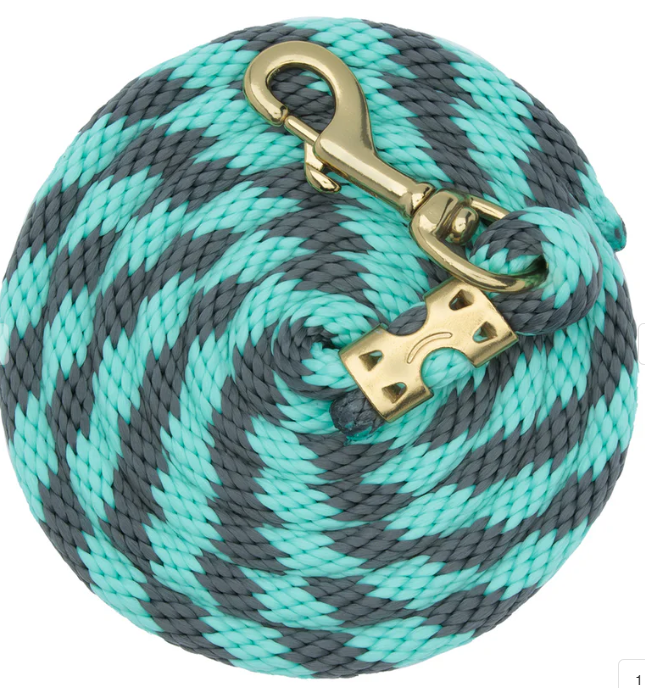 GRAY/AQUA POLY LEAD ROPE