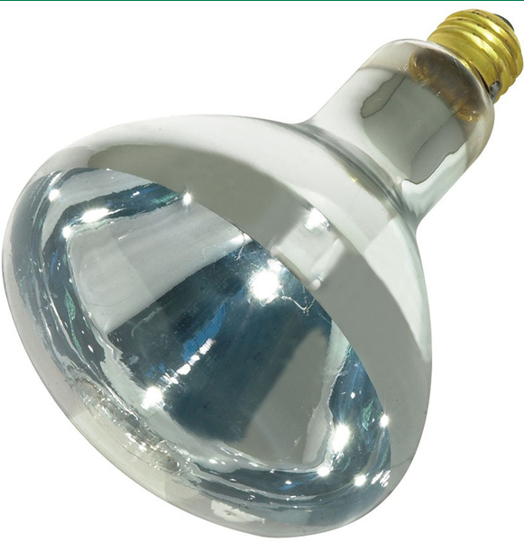 CLEAR HEAT LAMP BULB 125WATT