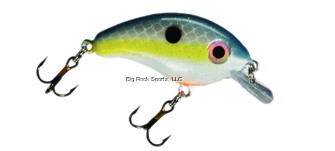 SEXY SHAD BITSY POND CRANKBAIT