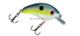 SEXY SHAD BITSY POND CRANKBAIT