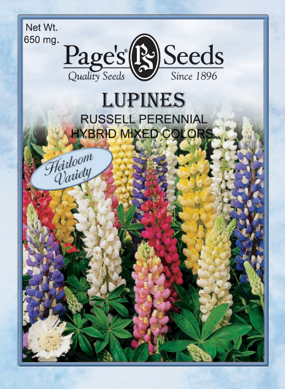 RUSSELL PERENNIAL LUPINE 650MG