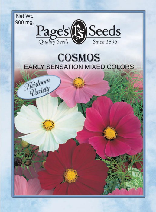 EARLY SENSATION COSMOS 900MG