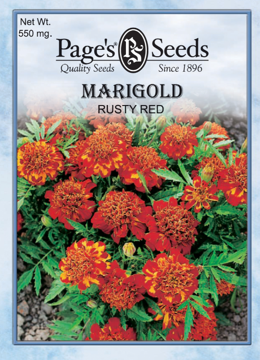 RUSTY RED MARIGOLD 550MG