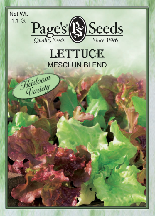 MESCLUN BLEND LETTUCE 1.1GR