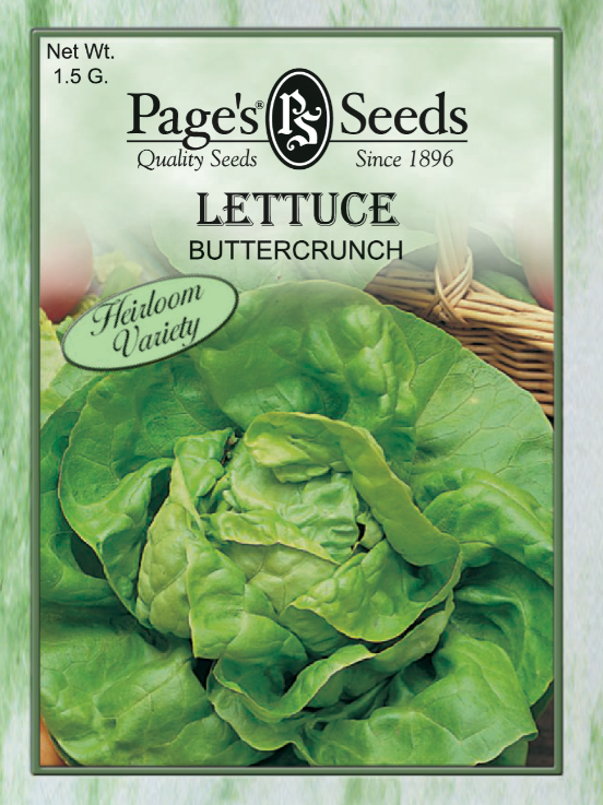 BUTTERCRUNCH LETTUCE 1.5GR