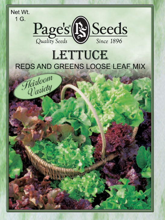 R&G LOOSELEAF LETTUCE 1GR