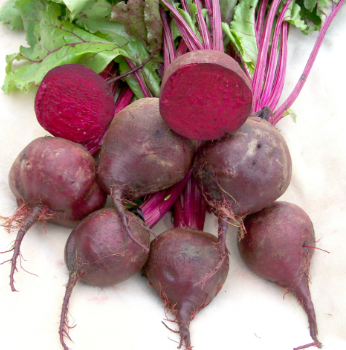 BEET - DETROIT DARK RED - 1OZ