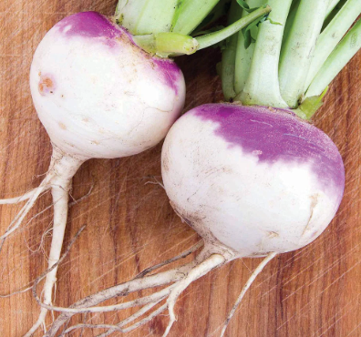 PURPLE TOP RUTABAGA 1/2LB