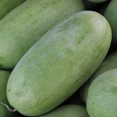 CHARLESTON GREY WATERMELON 1OZ