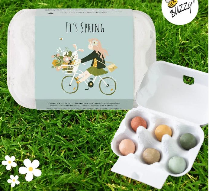 WILDFLOWER SEED BOMB EGG CARTON
