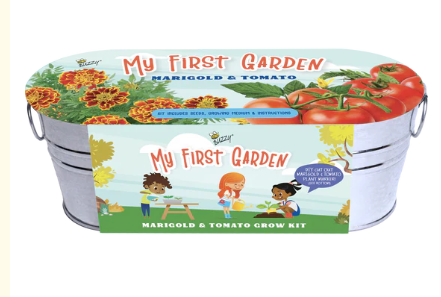 MY 1ST MARIGOLD & TOMATO GARDEN