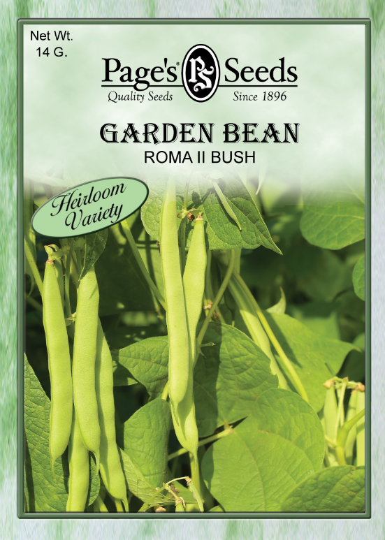 ROMA II BUSH GARDEN BEAN 14GR
