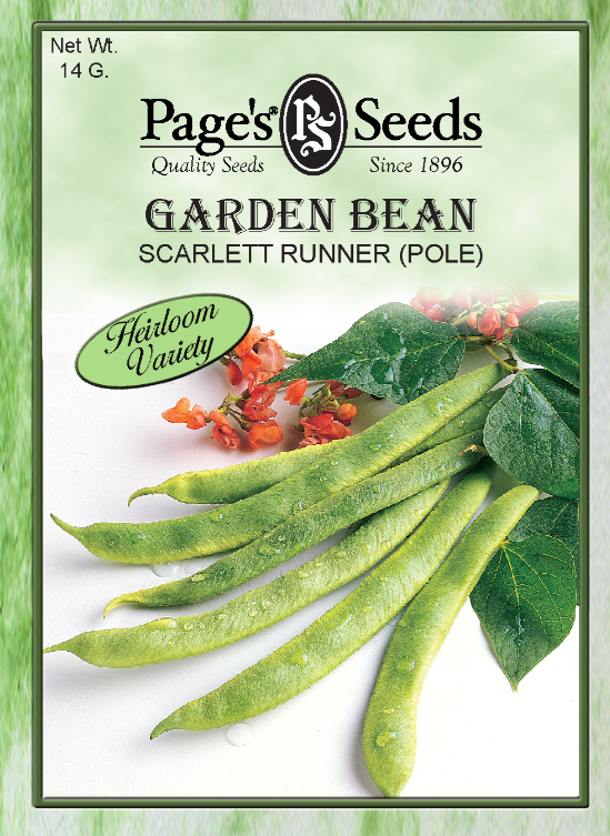 SCARLET RUNNER POLE BEANS 14GR