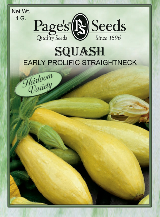 EARLY PRO STRAIGHNCK SUMM SQUASH