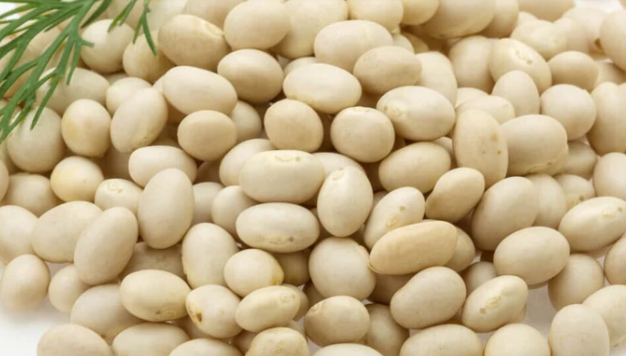 WHITE DIXIE BUTTERPEA 1/2LB