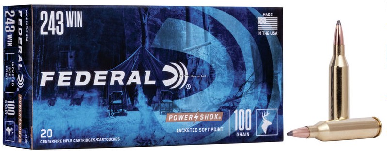FEDERAL 243 WIN 100GRN 20RNDS