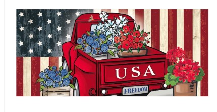 USA TRUCK SWITCH MAT