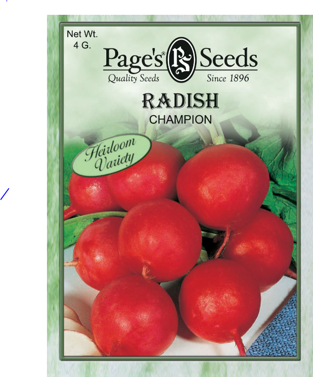 CHAMPION RADISH 4GR