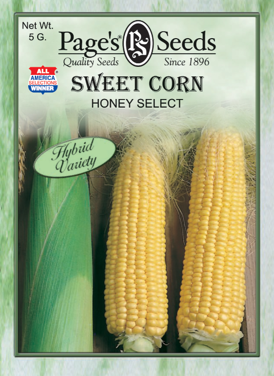 HONEY SELECT SWEET CORN 5GR