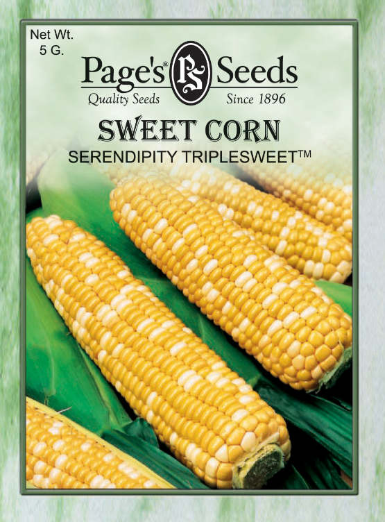 SERENDIPITY TRIPLESWEET CORN 5GR
