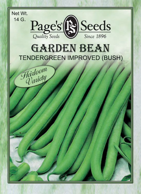 TENDERGREEN IMP BUSH BEAN 14GR
