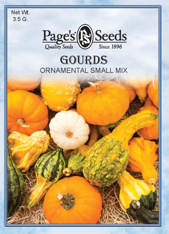 SMALL ORNAMENTAL GOURDS 3.5GR