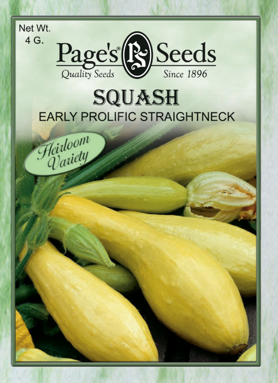 EARLY PROL STRAIGHTNECK SQ 1.8