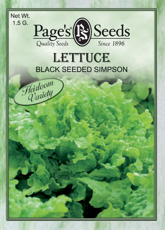 BLACK SEED SIMPSON LETTUCE 450