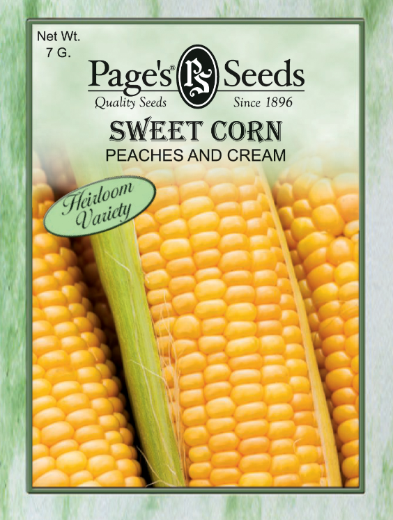 PEACHES & CREAM CORN 6G