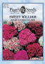 MIXED COLORS SWEET WILLIAM 650