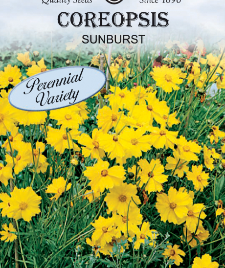 SUNBURST COREOPSIS 500MG