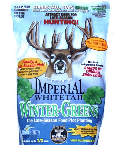 WHITETAIL WINTERGREENS 3LB