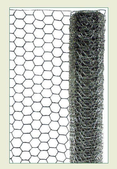 1"X60"X50' POULTRY NETTING