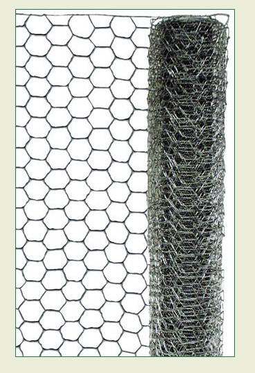 1"X72"X50' POULTRY NETTING