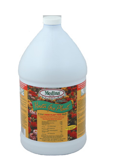 HASTA-GRO PLANTS - 1GAL