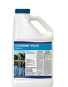 CUTRINE-PLUS ALGEACIDE 1GAL