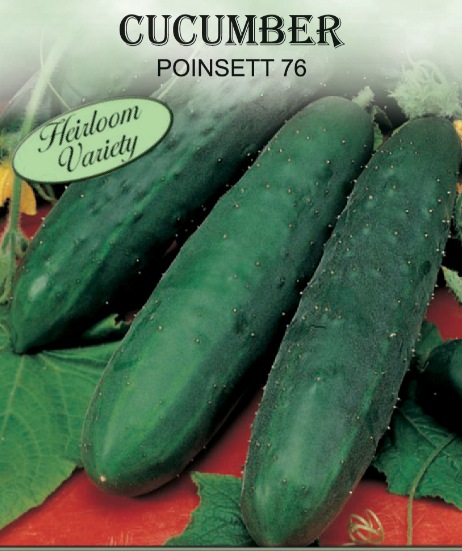 POINSETT 76 CUCUMBER 2GR