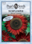 VELVET QUEEN SUNFLOWER 1.5GR
